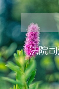 法院司法警察作文 法院司法警察作文
