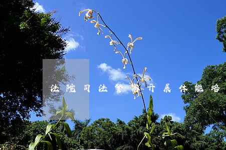 法院司法警察开展体能培训 法院司法警察开展体能培训