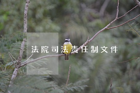 法院司法责任制文件