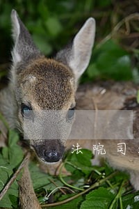 法院司法鉴定工作廉政小结 法院司法鉴定工作廉政小结