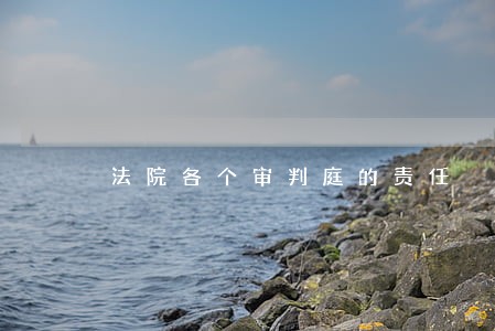 法院各个审判庭的责任 法院各个审判庭的责任