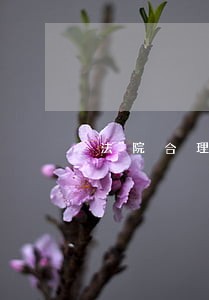 法院合理配置审判团队 法院合理配置审判团队