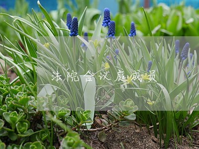 法院合议庭成员 法院合议庭成员