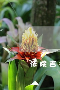 法院吉林法院网 法院吉林法院网