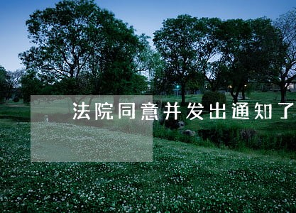 法院同意并发出通知了 法院同意并发出通知了