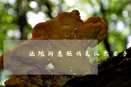 法院同意轻伤复议需要多长时间 法院同意轻伤复议需要多长时间