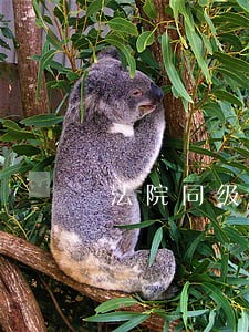 法院同级复议上级复议 法院同级复议上级复议