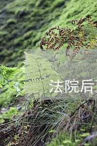 法院后勤饮食保障