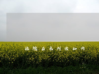 法院后来判决如何 法院后来判决如何