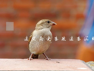 法院向党委政法委汇报工作 法院向党委政法委汇报工作