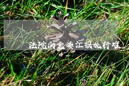 法院向党委汇报执行难 法院向党委汇报执行难