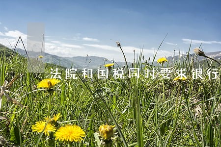 法院和国税同时要求银行扣划