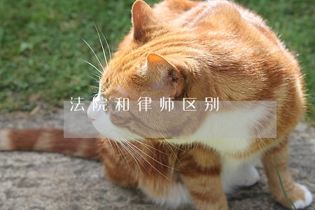 法院和律师区别 法院和律师区别