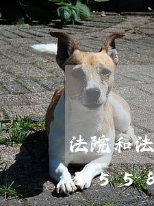 法院和法庭工作区别/2023022453558