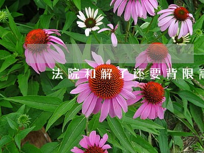 法院和解了还要背限高吗 法院和解了还要背限高吗