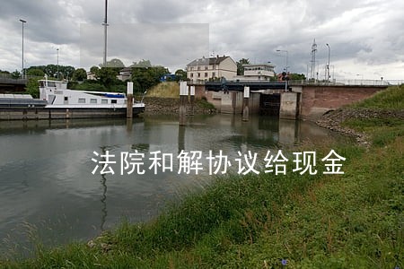 法院和解协议给现金 法院和解协议给现金