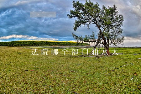 法院哪个部门油水大