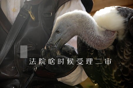 法院啥时候受理二审 法院啥时候受理二审