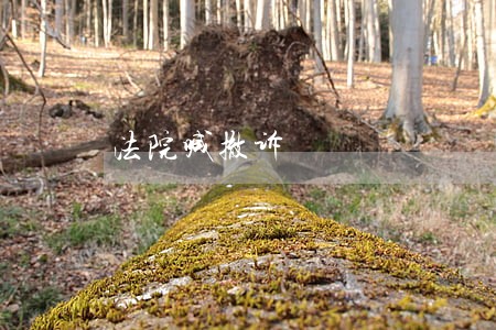 法院喊撤诉 法院喊撤诉