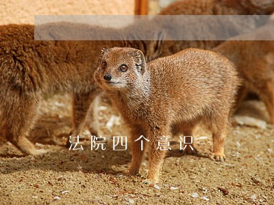 法院四个意识 法院四个意识