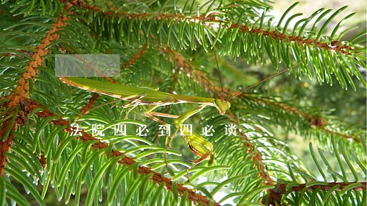 法院四必到四必谈 法院四必到四必谈