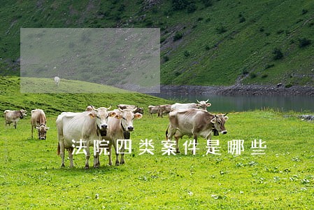 法院四类案件是哪些