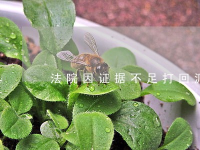 法院因证据不足打回派出所 法院因证据不足打回派出所