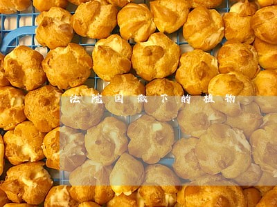 法院国徽下的植物 法院国徽下的植物