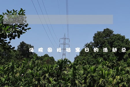 法院国际档案日的活动总结 法院国际档案日的活动总结
