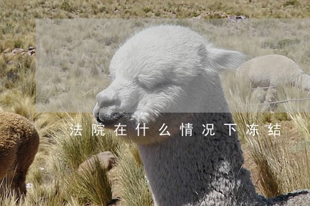 法院在什么情况下冻结 法院在什么情况下冻结