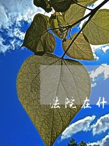 法院在什么情况下判决房产证无效 法院在什么情况下判决房产证无效