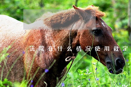 法院在什么情况使用裁定书 法院在什么情况使用裁定书