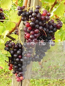 法院在判决时根据什么来减刑 法院在判决时根据什么来减刑
