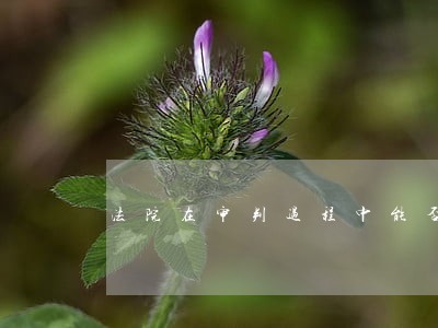 法院在审判过程中能否委托鉴定 法院在审判过程中能否委托鉴定