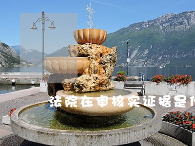法院在审核实证据是什么意思 法院在审核实证据是什么意思