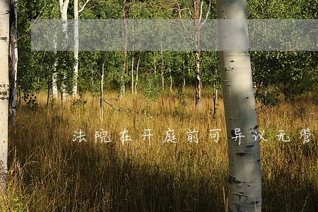 法院在开庭前可异议无管辖权 法院在开庭前可异议无管辖权