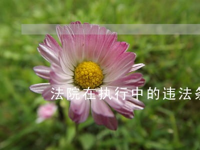 法院在执行中的违法条款 法院在执行中的违法条款