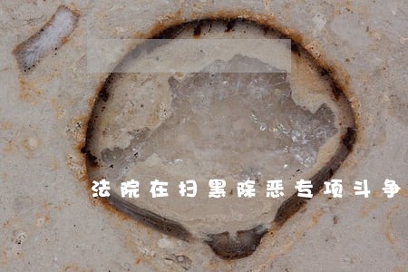 法院在扫黑除恶专项斗争职责 法院在扫黑除恶专项斗争职责