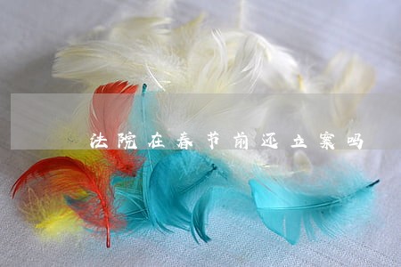 法院在春节前还立案吗 法院在春节前还立案吗