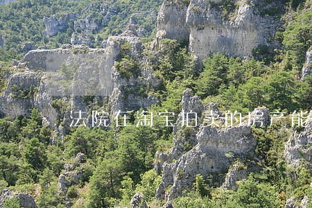 法院在淘宝拍卖的房产能不能撤回 法院在淘宝拍卖的房产能不能撤回