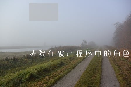 法院在破产程序中的角色定位 法院在破产程序中的角色定位