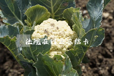 法院在网上冻结卡 法院在网上冻结卡