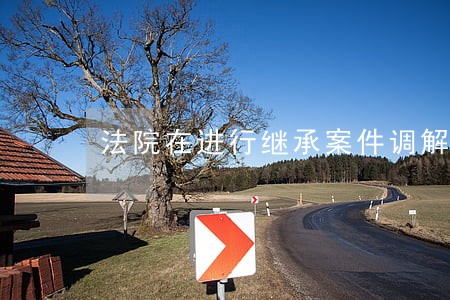 法院在进行继承案件调解时怎么 法院在进行继承案件调解时怎么