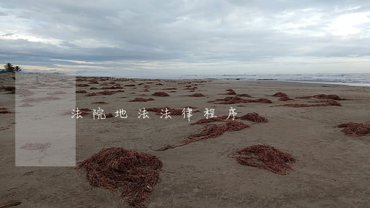 法院地法法律程序 法院地法法律程序