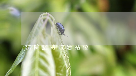 法院坚持政治站位 法院坚持政治站位