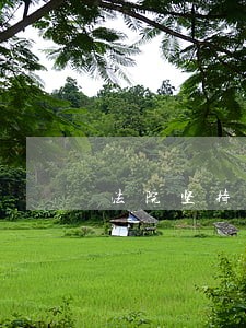 法院坚持民营经济发展 法院坚持民营经济发展