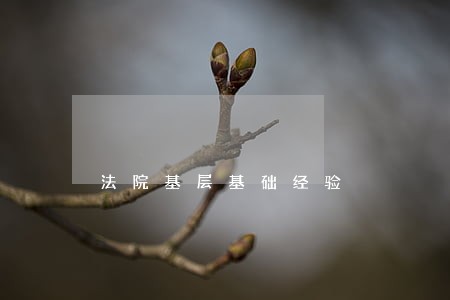 法院基层基础经验 法院基层基础经验