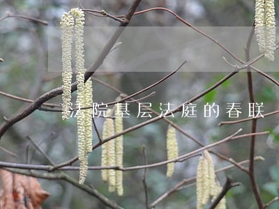 法院基层法庭的春联