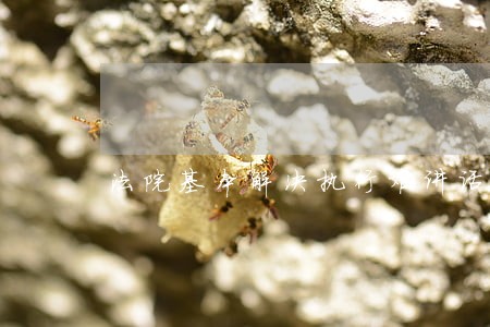 法院基本解决执行难讲话 法院基本解决执行难讲话