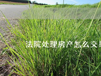 法院处理房产怎么交易